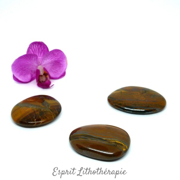 Photo contractuelle Galet Chakra – Œil de tigre en pierre naturelle
