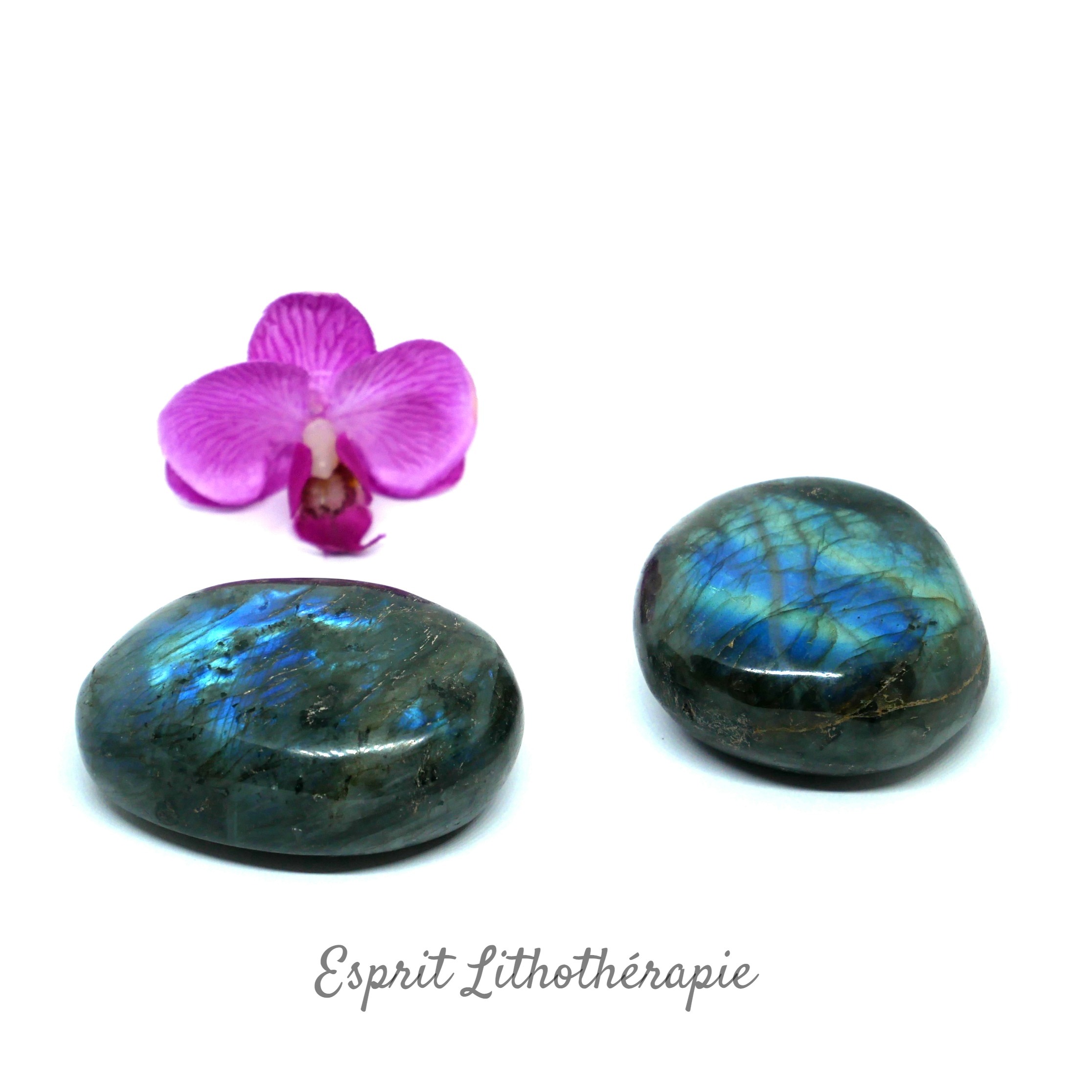 Photo contractuelle Galet Labradorite en pierre naturelle