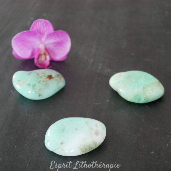 Photo contractuelle Galet Chakra – Chrysoprase en pierre naturelle