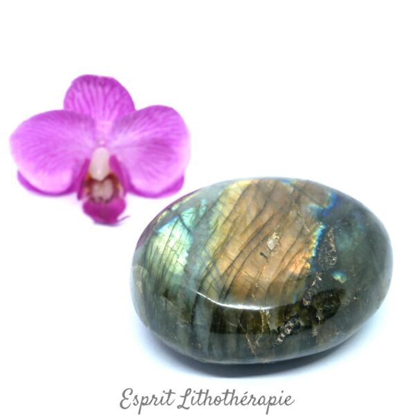Galet Labradorite 5