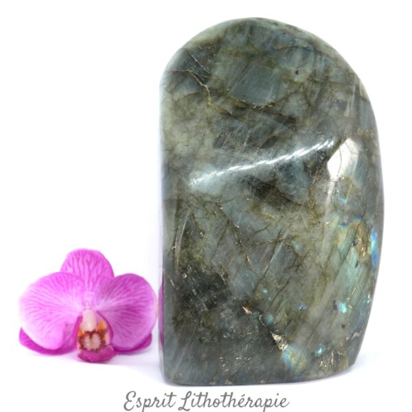 Bloc poli Labradorite