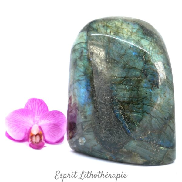 Bloc poli Labradorite