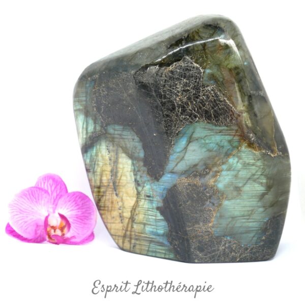 Bloc poli Labradorite