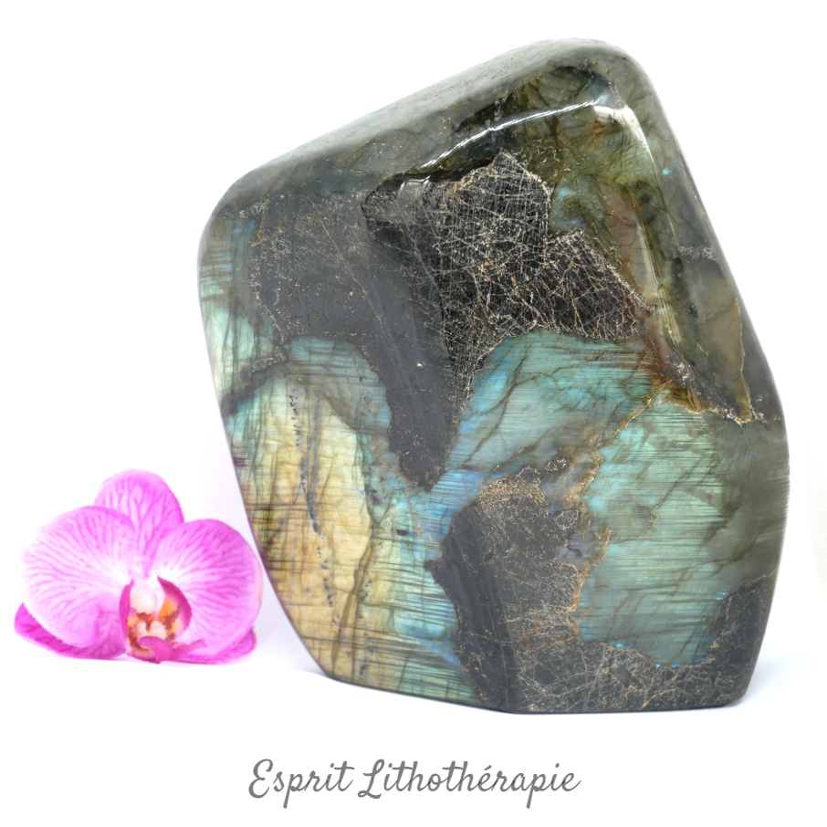 Bloc poli Labradorite