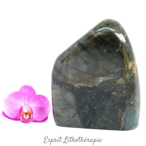 Bloc poli Labradorite