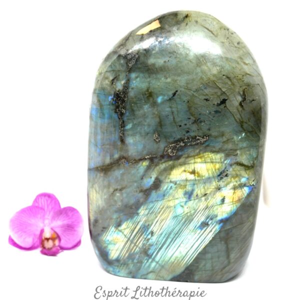 Bloc Labradorite