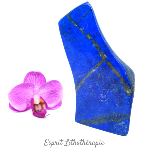 Photo contractuelle Bloc poli Lapis Lazuli en pierre naturelle