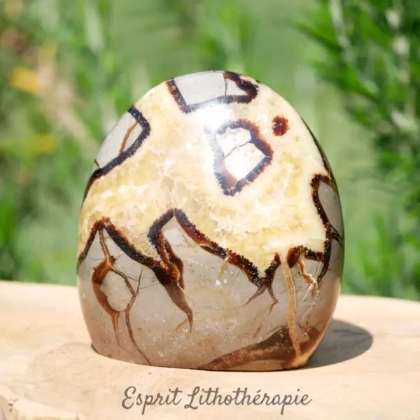 Bloc de septaria naturelle avec motifs uniques, pierre d'ancrage et d'équilibre