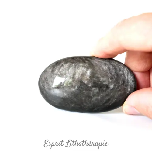 Photo contractuelle Galet Obsidienne argentée en pierre naturelle