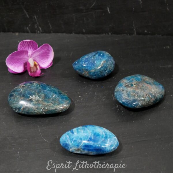 Photo contractuelle Galet Apatite en pierre naturelle