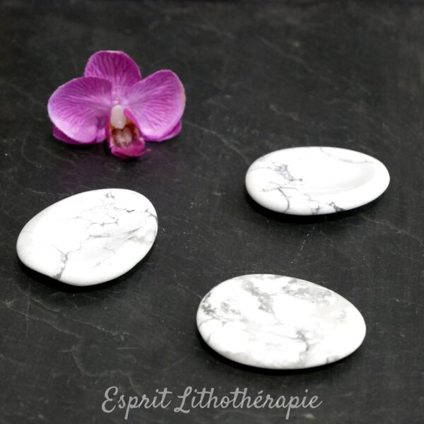 Photo contractuelle Galet anti-stress Howlite en pierre naturelle