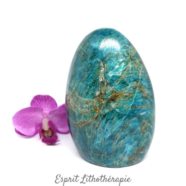 Bloc Apatite