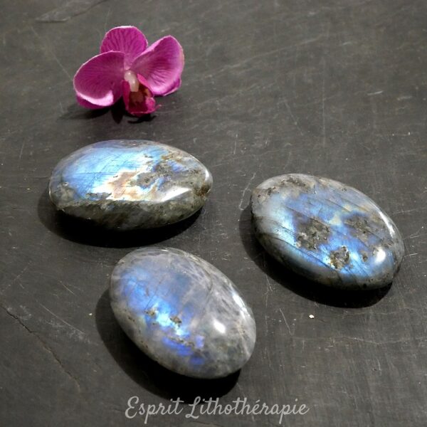 Photo contractuelle Galet Labradorite Bleue en pierre naturelle