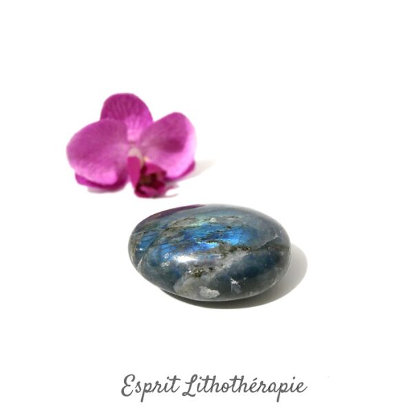 Photo contractuelle Galet Labradorite Bleue en pierre naturelle