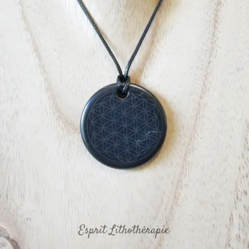 Pendentif en Shungite naturelle gravé avec le motif Fleur de vie