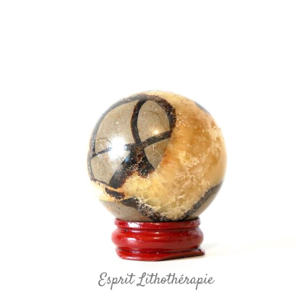 Photo contractuelle Sphère Septaria en pierre naturelle