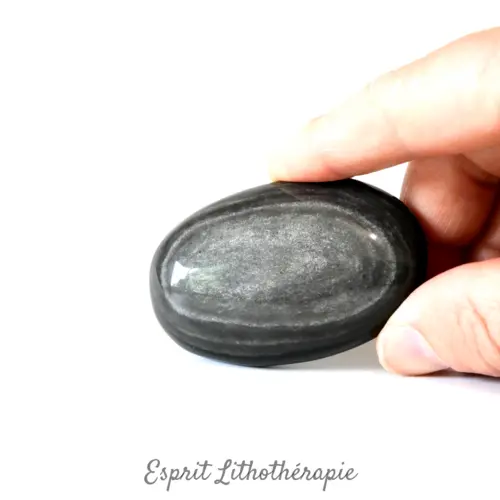 Photo contractuelle Galet Obsidienne argentée en pierre naturelle