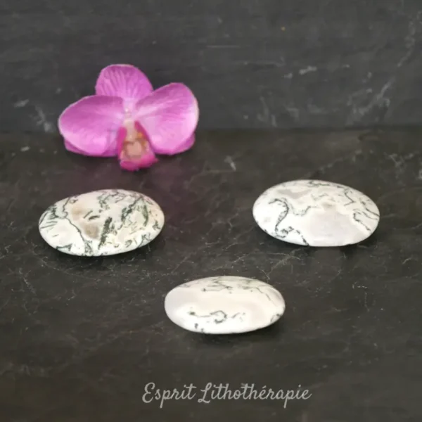 Photo contractuelle Galet Chakra Agate mousse en pierre naturelle
